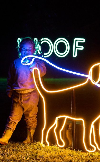 Lace up, leash up, and walk for a cause!