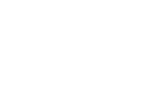 Apa Logo White